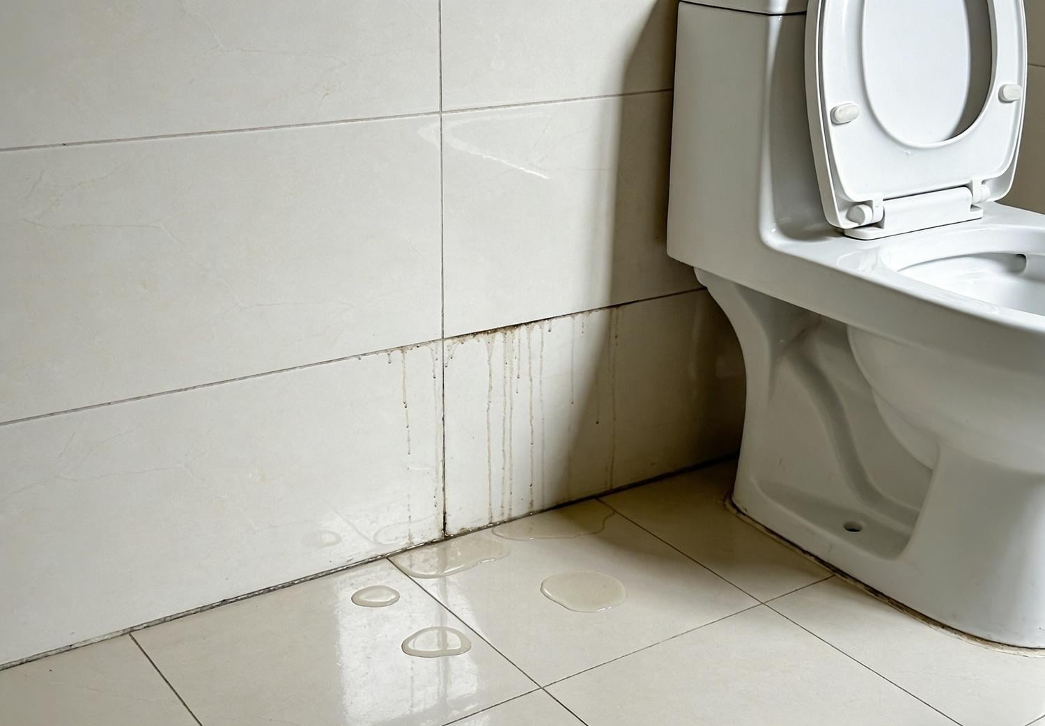 Checklist 25 vấn đề có thể phát hiện ngay khi vừa nhận nhà (P3) - hình 3