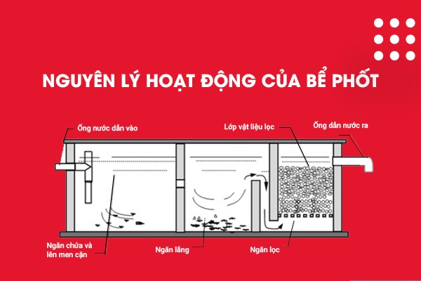 Nguyên lý hoạt động bể tự hoại