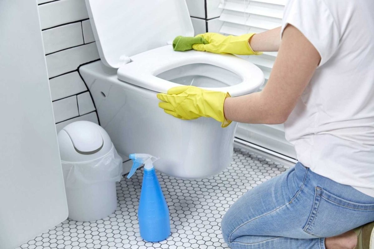 Cách vệ sinh nắp rửa bồn cầu thông minh đúng cách - hình 3