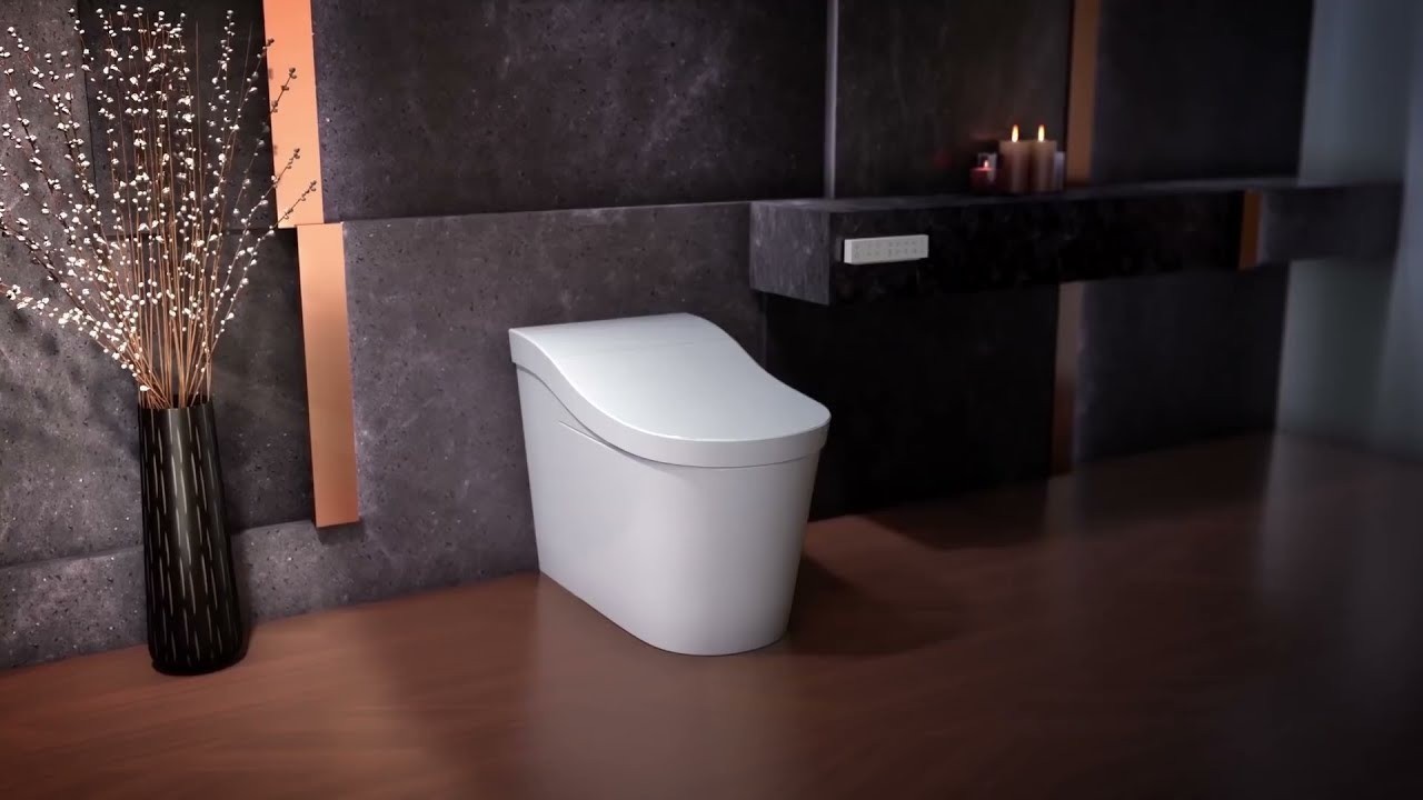 Cách vệ sinh nắp rửa bồn cầu thông minh đúng cách - hình 5