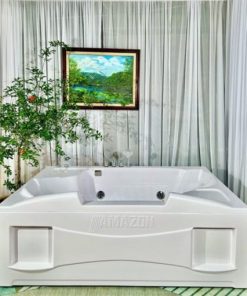 Bồn tắm massage Amazon TP-8009 - Hình 1