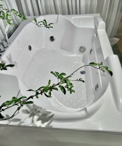 Bồn tắm massage Amazon TP-8009 - Hình 3