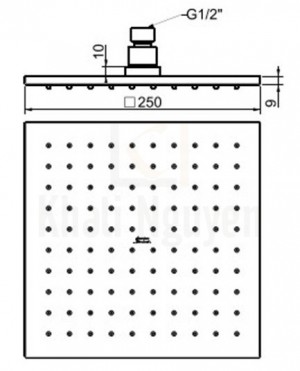 Bản Vẽ Kỹ Thuật Bát Sen American Standard FFASS038