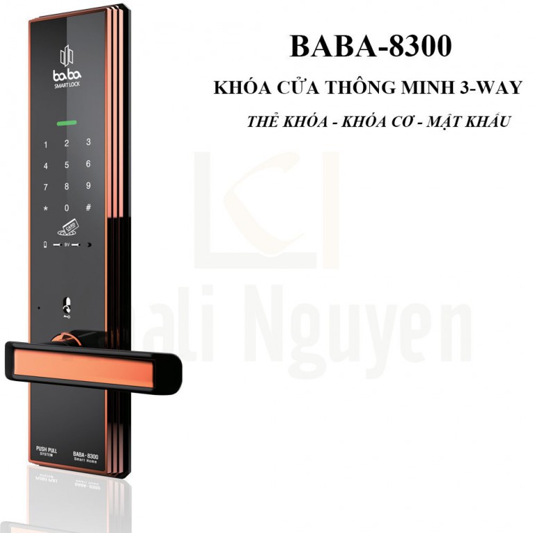 Khóa cửa thông minh BABA-8300