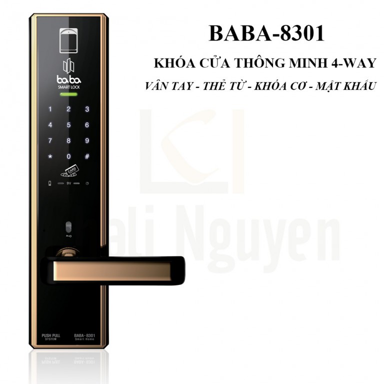 Khóa cửa thông minh BABA-8301
