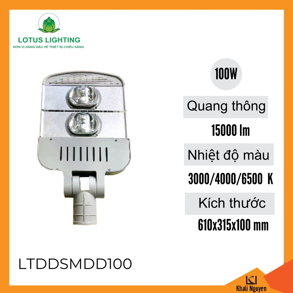 Đèn đường D 100W Lotus Lighting LTDDSMDD100