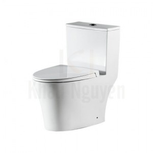 Bồn Cầu 1 Khối Bravat C21145UW-3-ENG