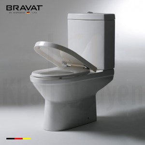 Bồn Cầu 2 Khối Bravat C2164W-3G