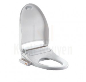 Nắp Rửa Điện Tử Bravat CZ-9993UW