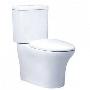 Bồn Cầu Hai Khối Caesar CD1341 Nắp Êm