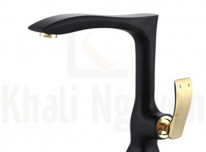 Vòi Rửa Bát Canzy CZ-805D