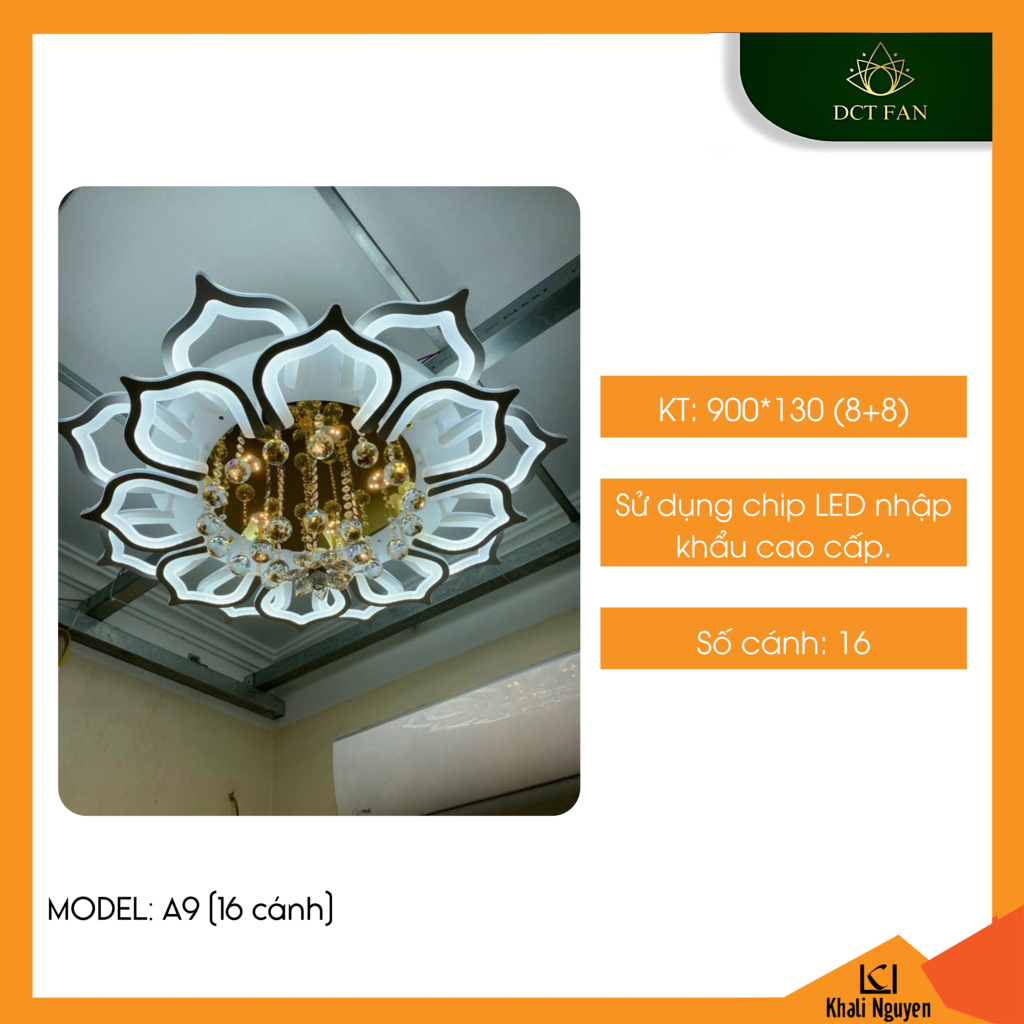 Đèn led ốp trần decor DCT A9