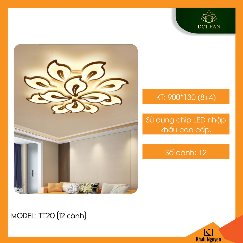 Đèn led ốp trần decor DCT TT20