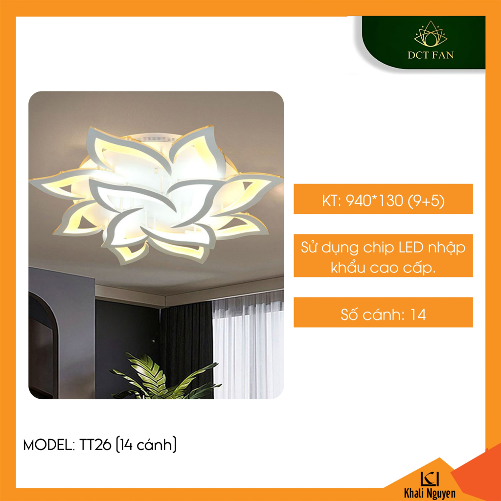 Đèn led ốp trần decor DCT TT26