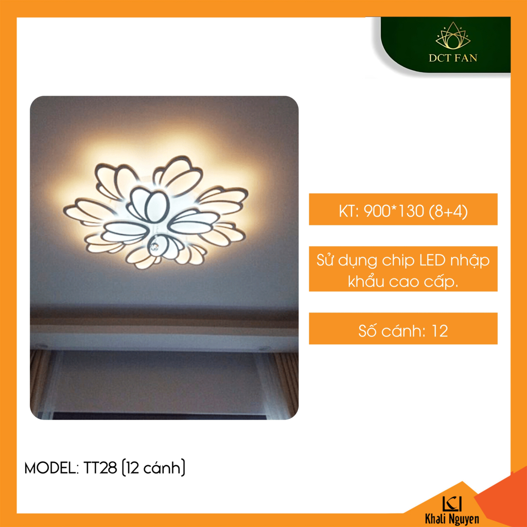 Đèn led ốp trần decor DCT TT28