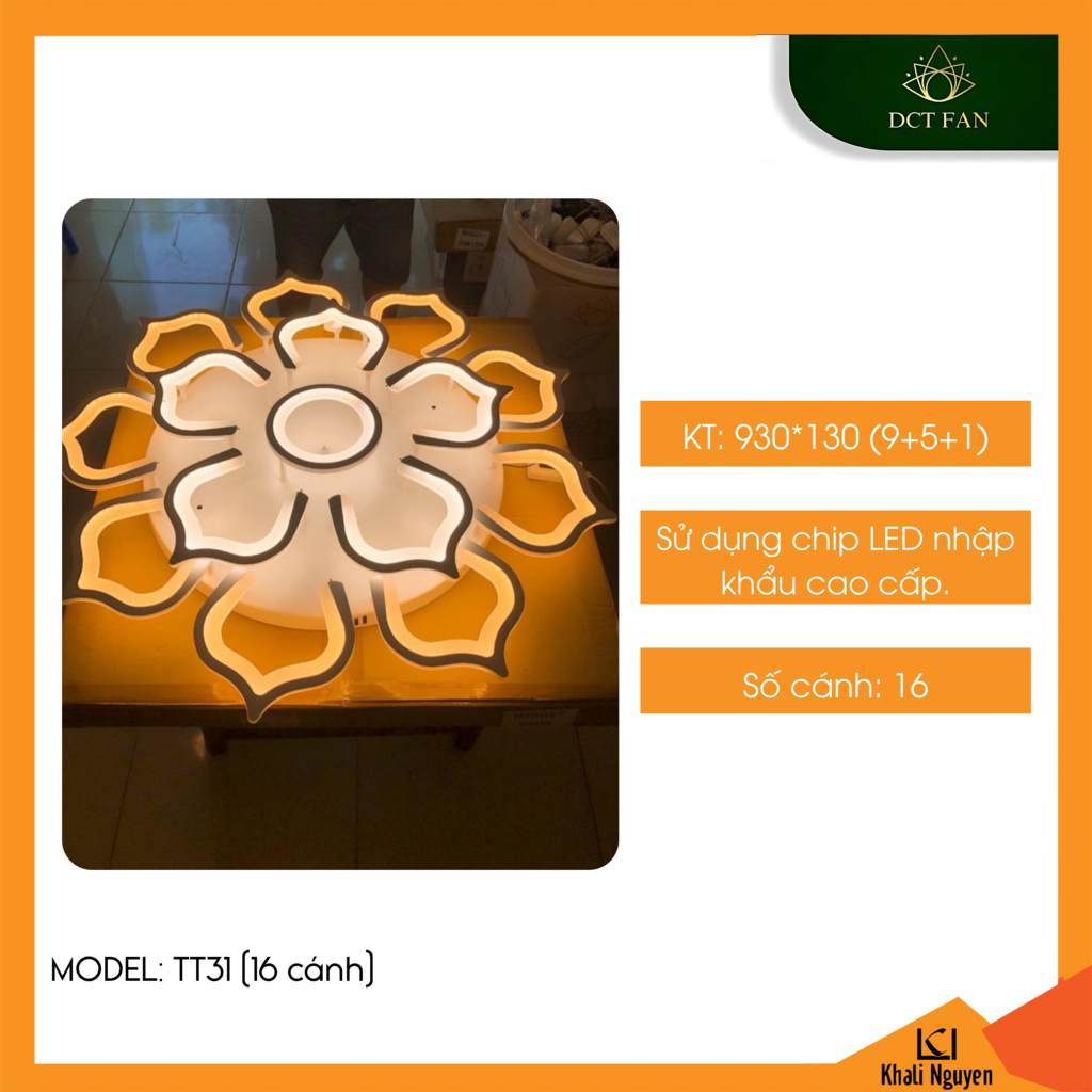 Đèn led ốp trần decor DCT TT31