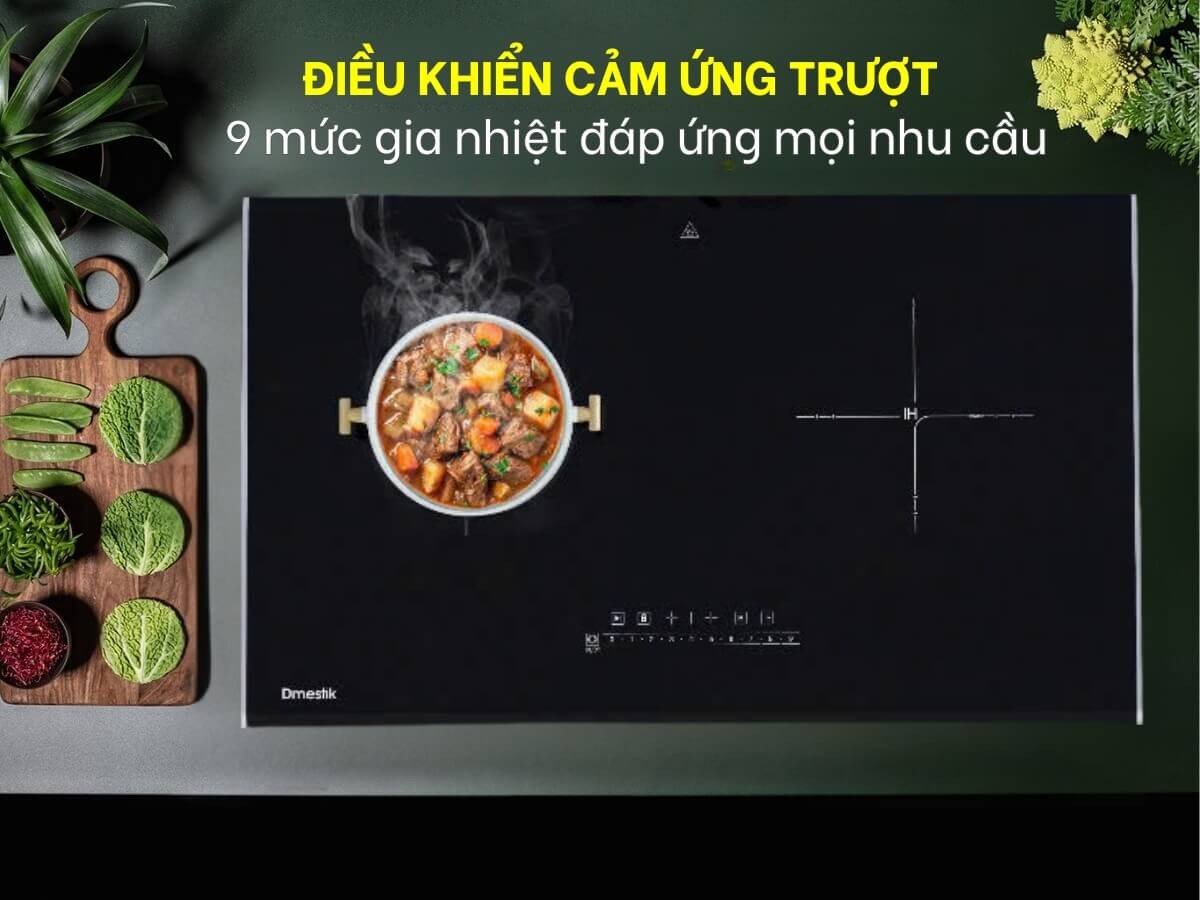 Bếp điện từ đôi Dmestik GE 2068 DKI - hình 4