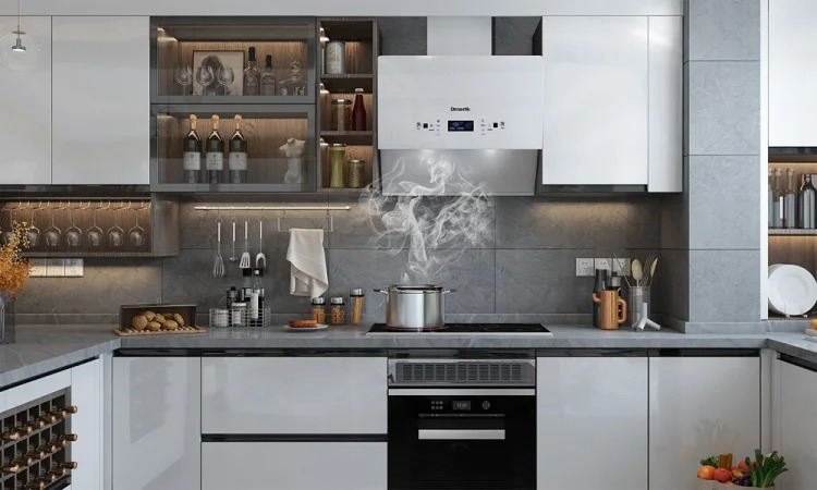 Ảnh thực tế máy hút mùi Dmestik TL 4670 DMK