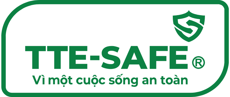 logo TTE-SAFE