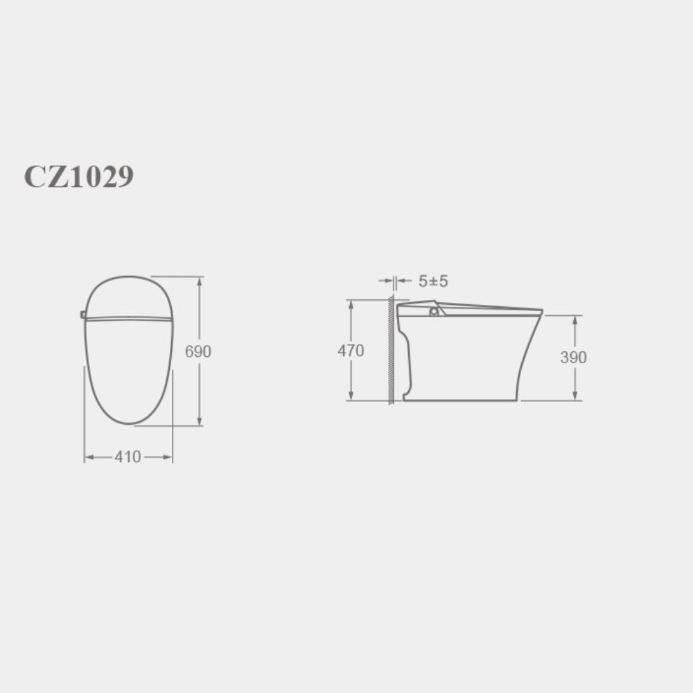 Bản vẽ kĩ thuật bồn cầu thông minh CZ1029