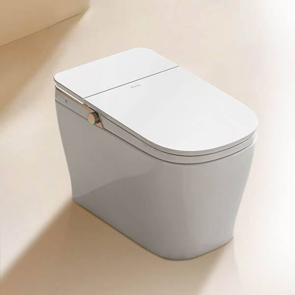 Bồn cầu thông minh Enic Smart F màu trắng