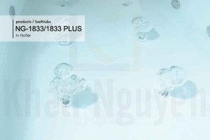 Bồn tắm NG-1833 3