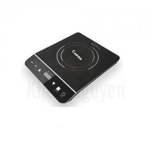 Bếp từ đơn Rapido - RI2000EC