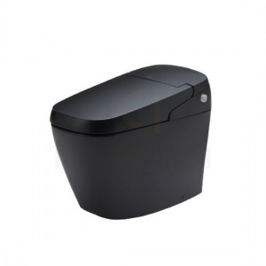 Bồn Cầu Thông Minh AC-G216VN Màu Đen