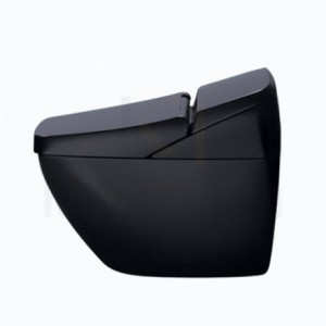 Bàn Cầu ỨNG INAX REGIO DV-R115VH-VN/BKG