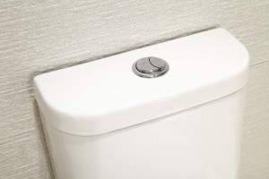 Bồn Cầu Liền Khối Korest BKR648 - Hình 2