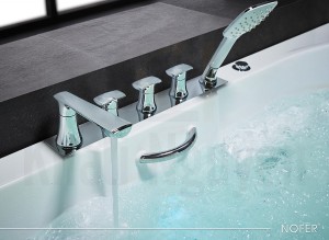 Bộ sen tắm và vòi cấp nước của bồn NG-0829