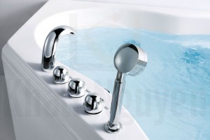 Vòi cấp nước, sen tay và các van điều chỉnh NG-1515D/ 1515DP