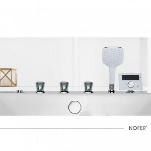 Bộ sen tắm và bảng điều khiển của bồn tắm NG-225