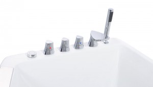 Hệ thống điều khiển kèm sen của bồn tắm NG-65109B