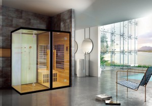 Phòng xông hơi SN-801 - Hình 1