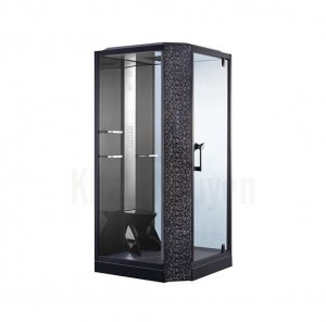 Phòng xông hơi VS-89101S (R) Black