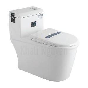 Bồn Cầu 1 Khối Rangos RG-8082