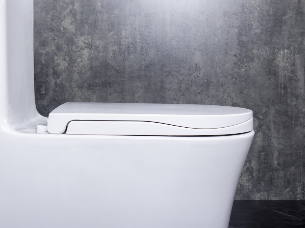 Bồn Cầu Liền Khối Takosi TKR6648 - hình 5