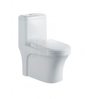 Bồn cầu 1 khối THP-8055