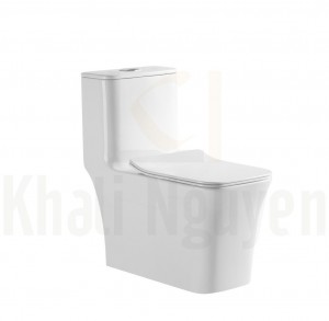 Bồn cầu một khối THP-8081