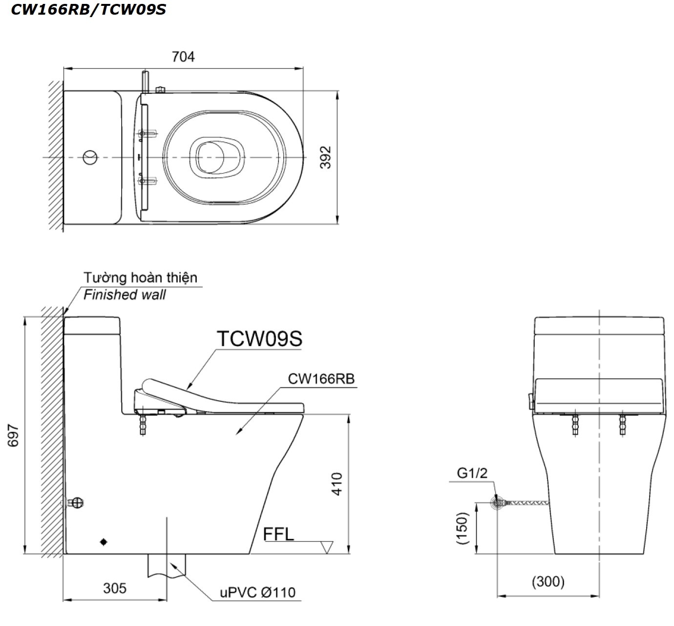 Bản vẽ bồn cầu TOTO 1 khối CW166RB/TCW09S/T53P100VR