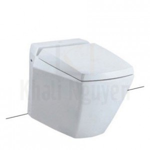 Bồn Cầu TOTO CW681/TCP06/T53P100VR/TC375CVK Treo Tường