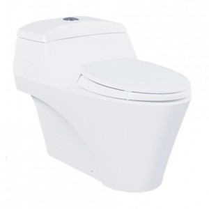 Bồn Cầu TOTO CW823NW/F Một Khối Nắp TC393VS