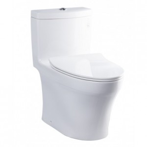 Bồn Cầu TOTO MS889DRT8 Một Khối Nắp TC600VS