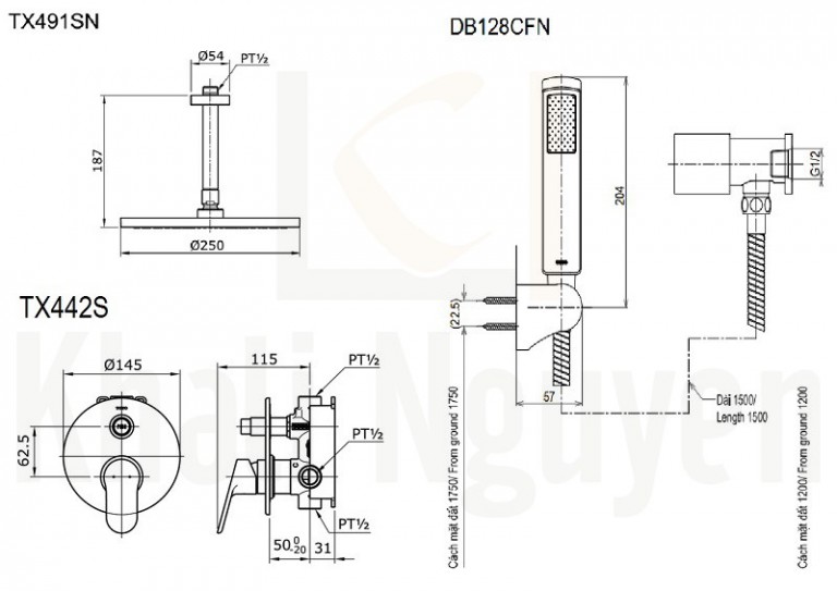 Bản Vẽ Sen Tắm TOTO TX491SN/TX442SU/DB128CFN Âm Tường