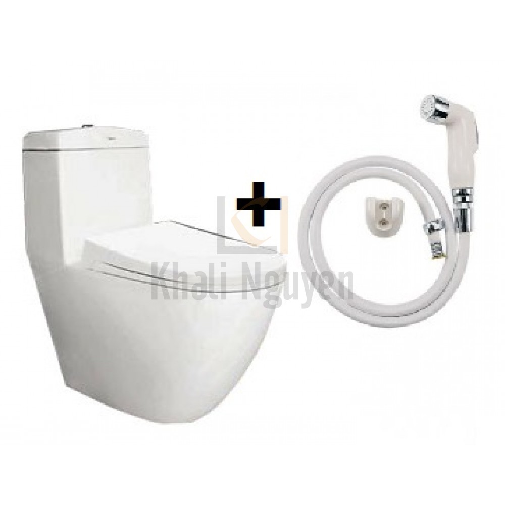 Bồn Cầu Viglacera V199 Nắp Êm V86 + Vòi Xịt VG826