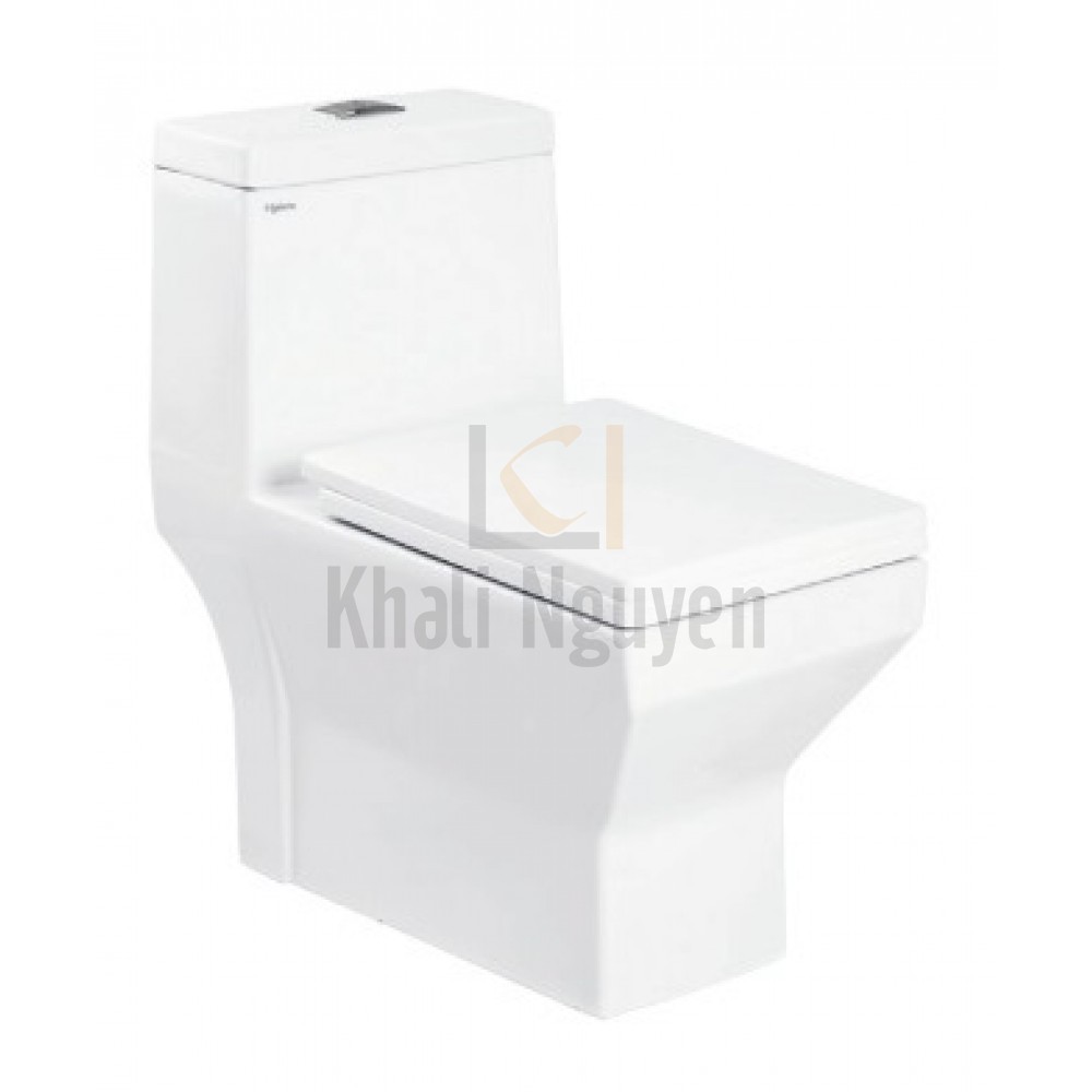 Bồn Cầu Một Khối Viglacera V42 Xả Nhấn Nắp Êm