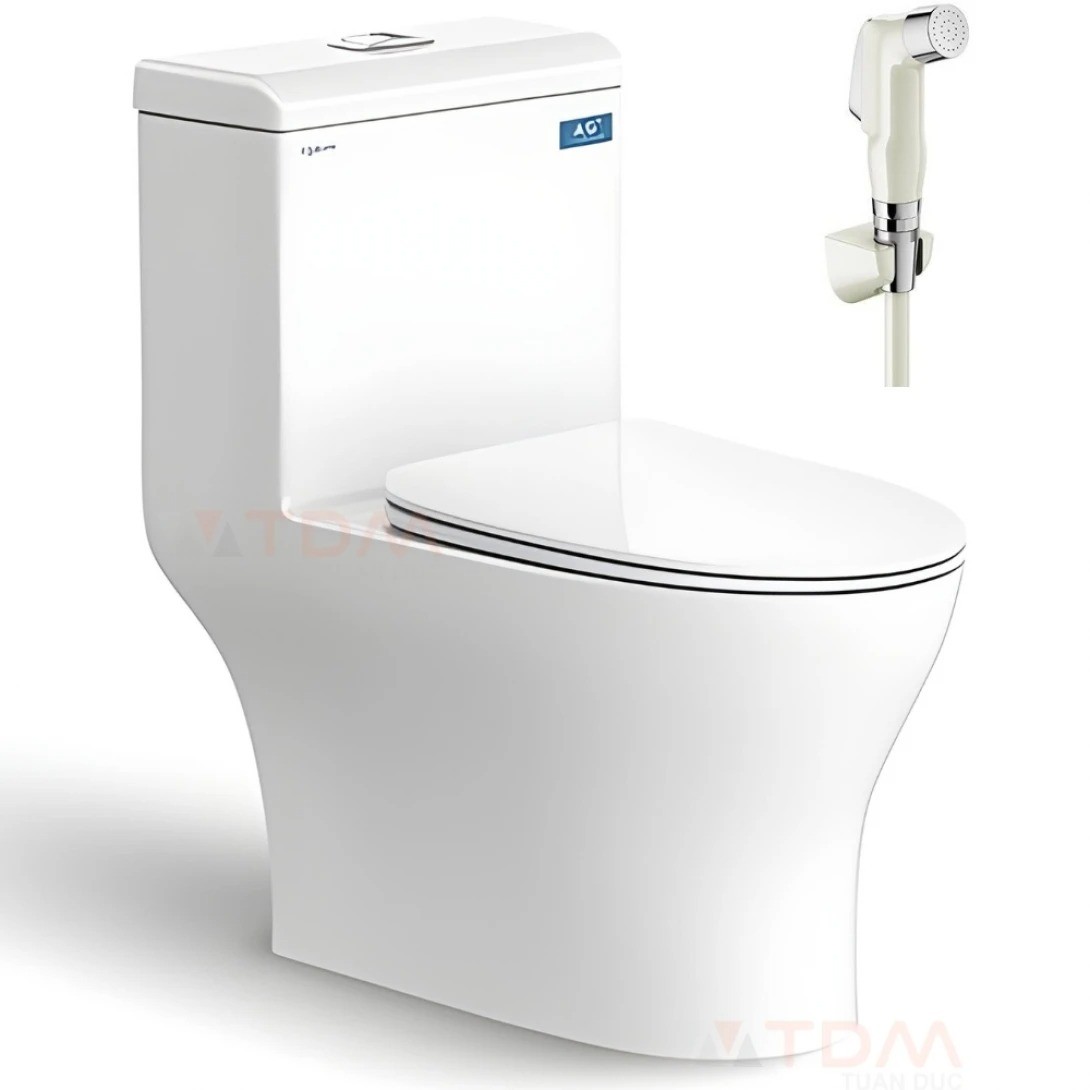 Bồn Cầu 1 Khối Viglacera V45M